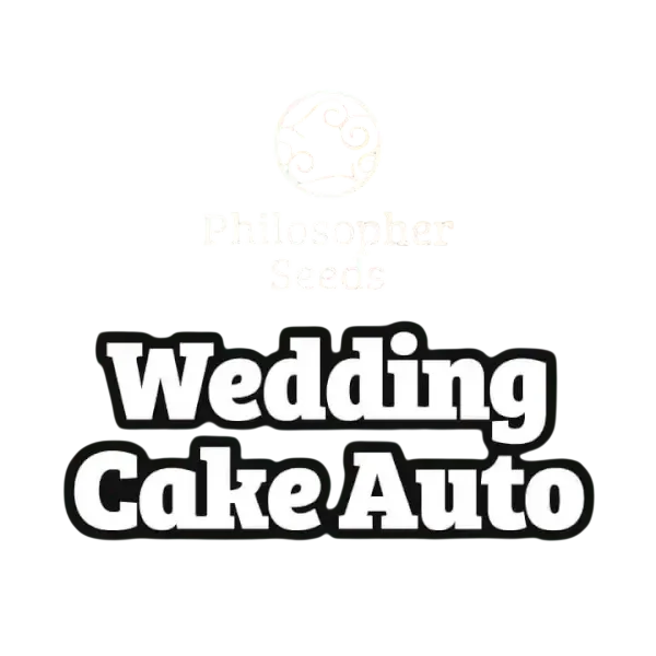 Wedding Cake Auto – Produktansicht