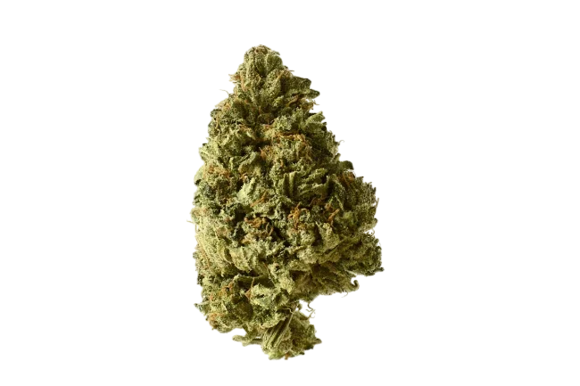 White Choco Auto – Produktansicht