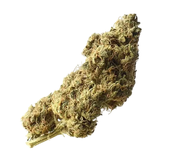 White Choco Haze – Produktansicht