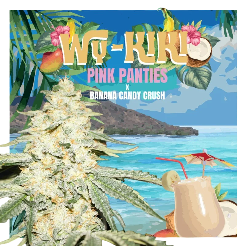 Wy-Kiki – Produktansicht