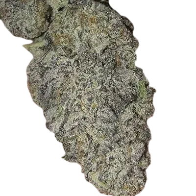 Zurple Punch BX | PHOTOFEM | In House Genetics