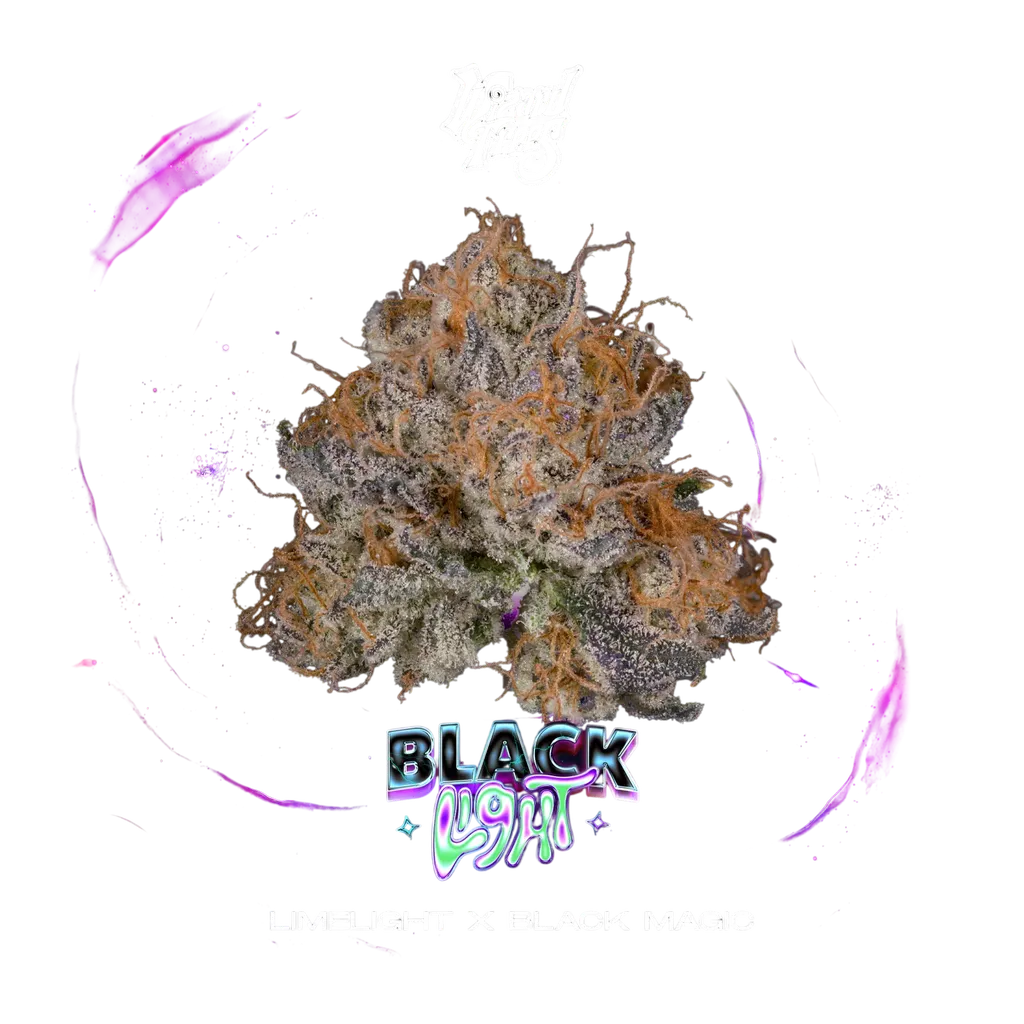 Black Light | PHOTOFEM | Wizard Trees