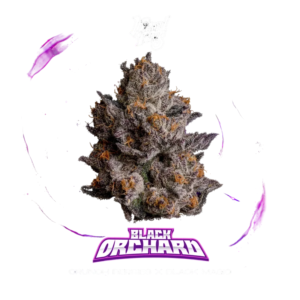 Black Orchard – Produktansicht