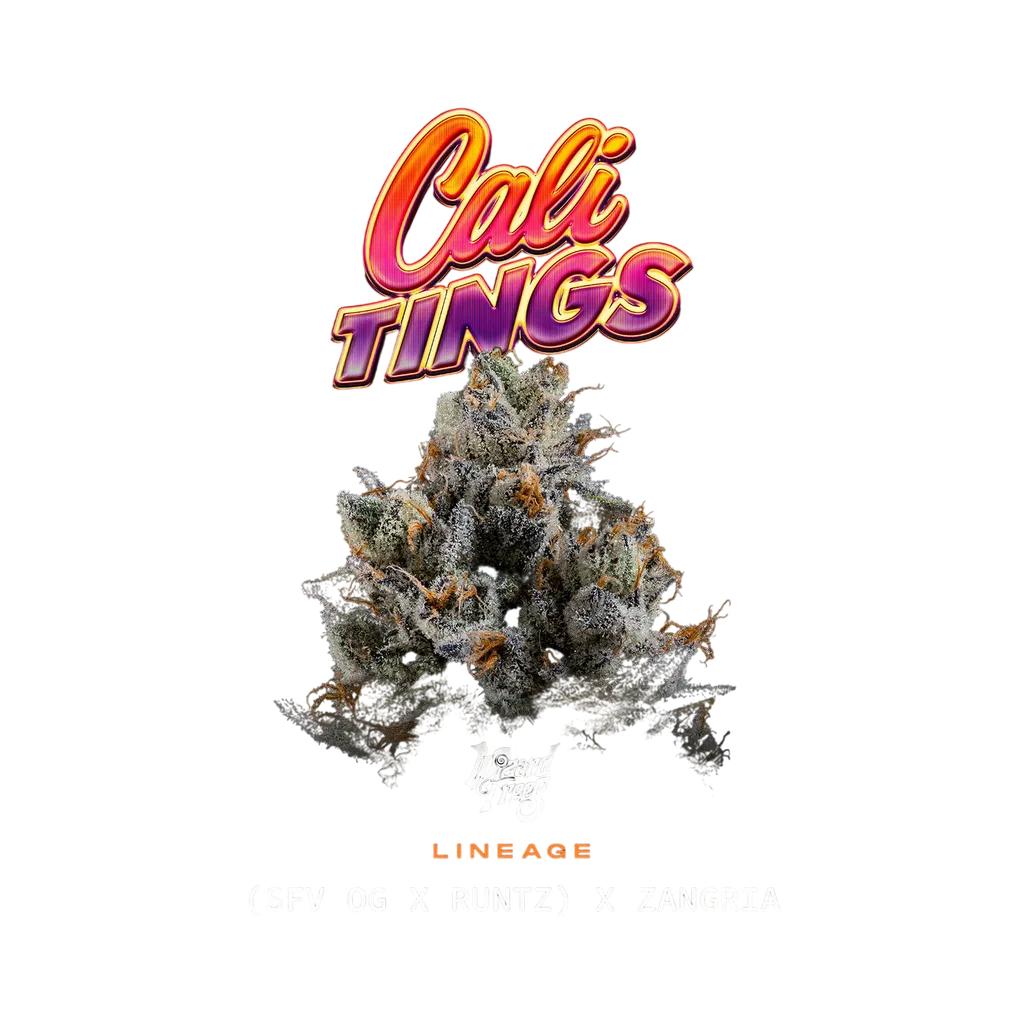 Cali Tings | PHOTOFEM | Wizard Trees