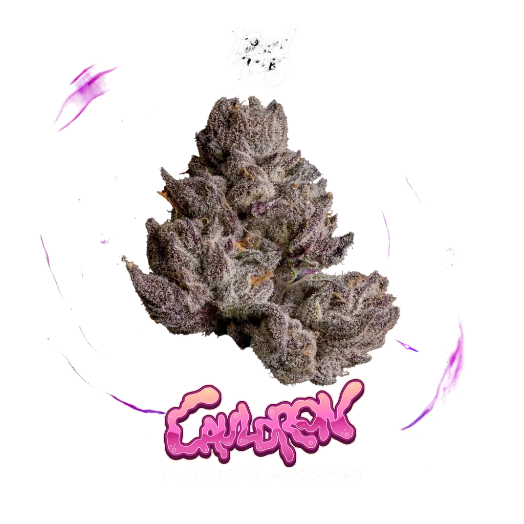 Cauldron – Produktansicht