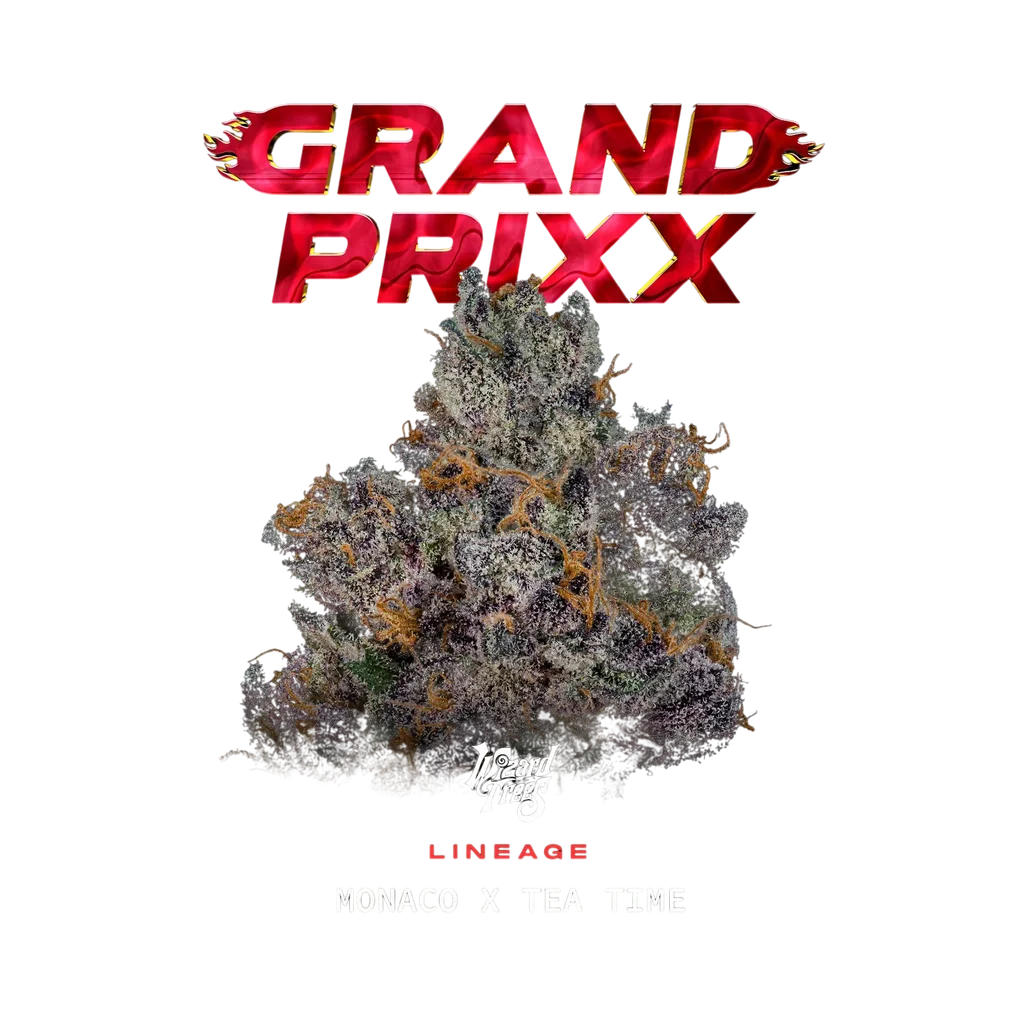 Grand Prixx – Produktansicht