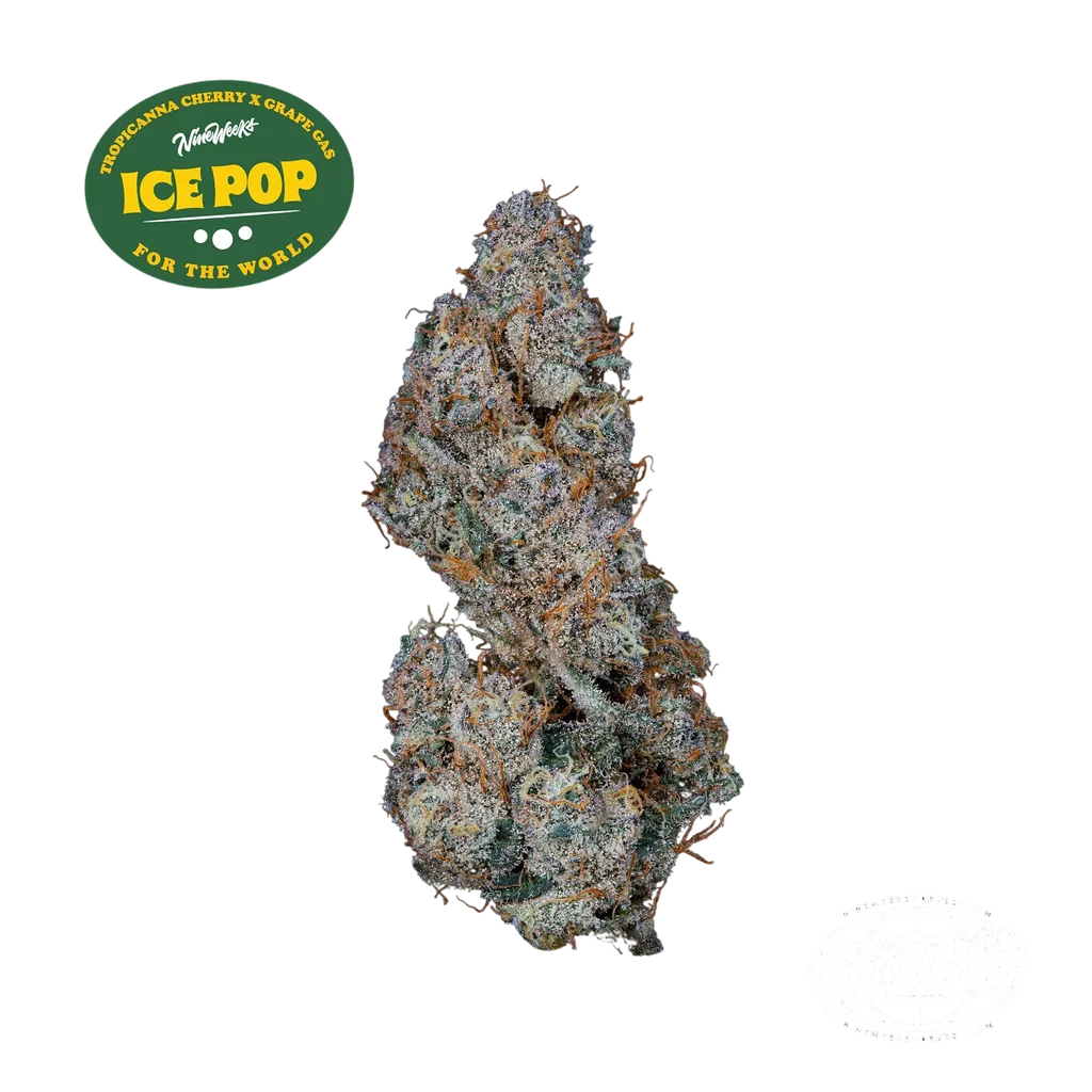 Ice Pop – Produktansicht