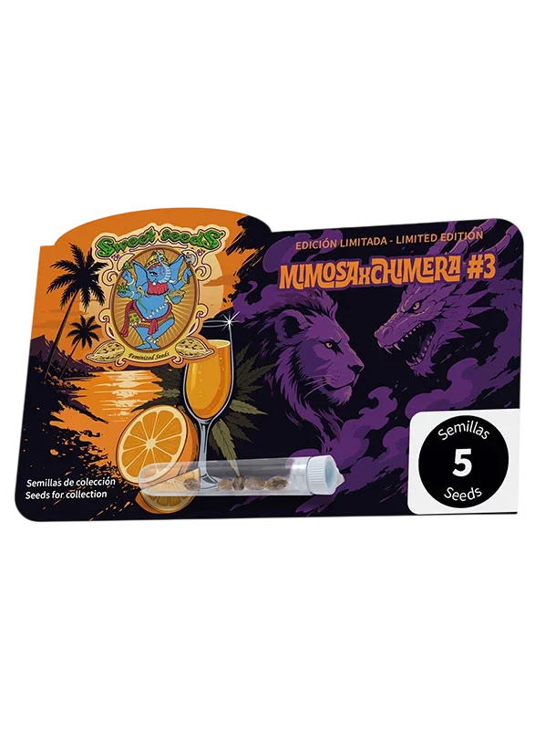 Mimosa x Chimera #3 – Produktansicht