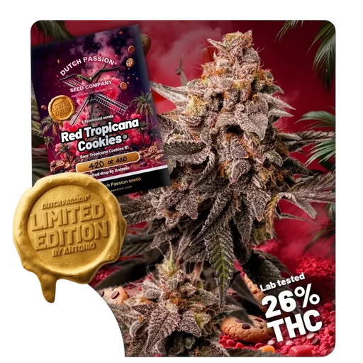 Red Tropicana Cookies