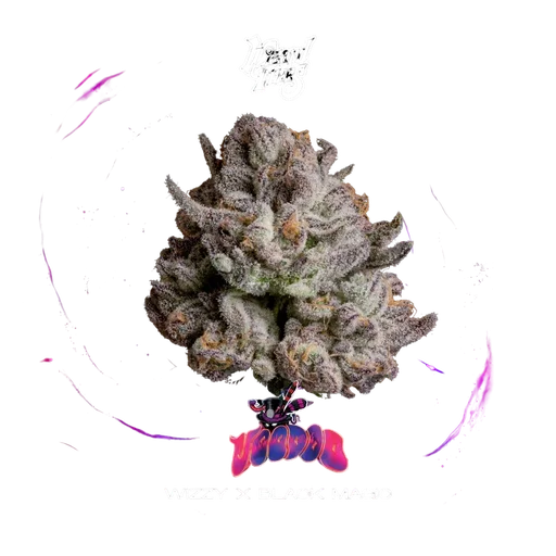 Voodoo