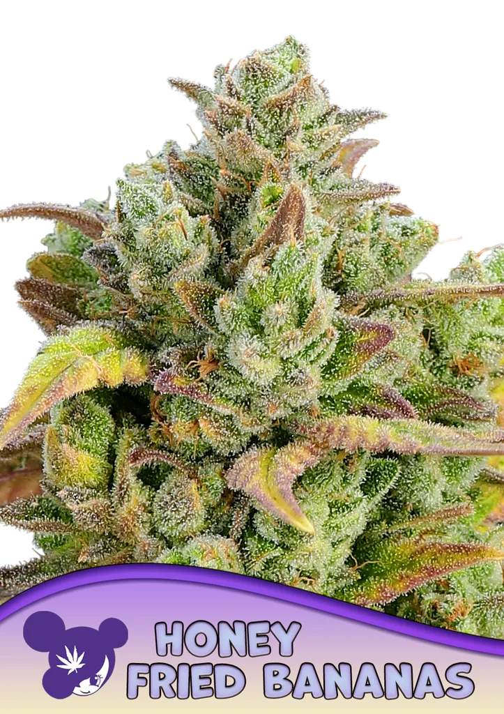 Honey Fried Bananas | PHOTOFEM | Anesia Seeds