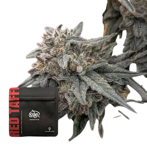 Red Taffi