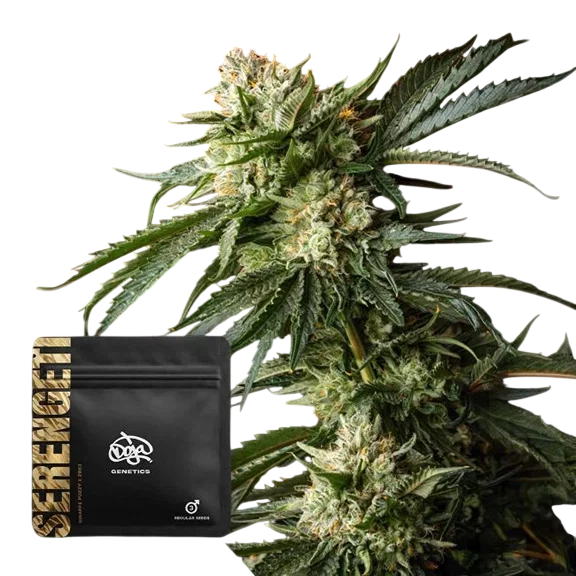 Serengeti – Produktansicht
