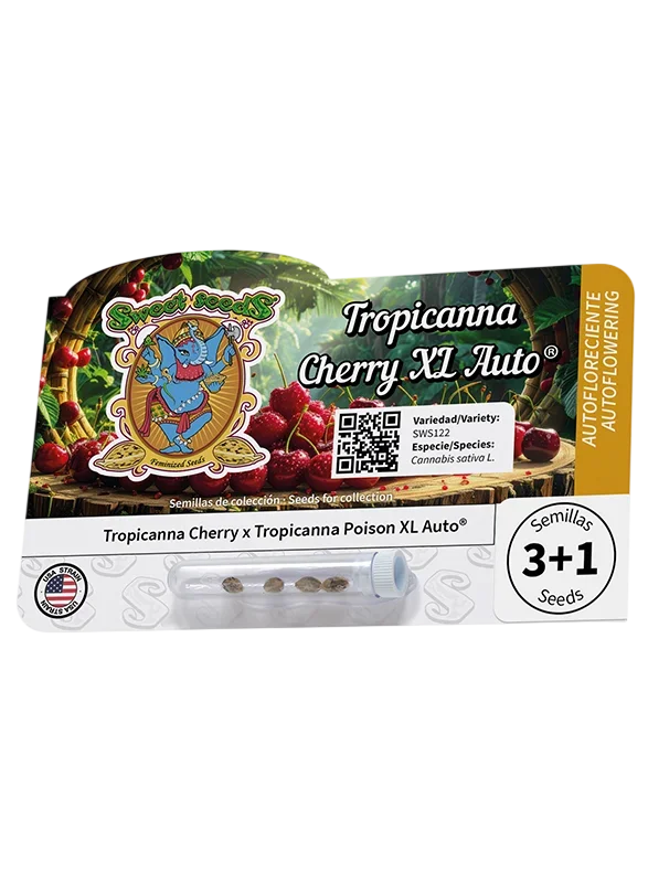 Tropicanna Cherry XL Auto – Produktansicht