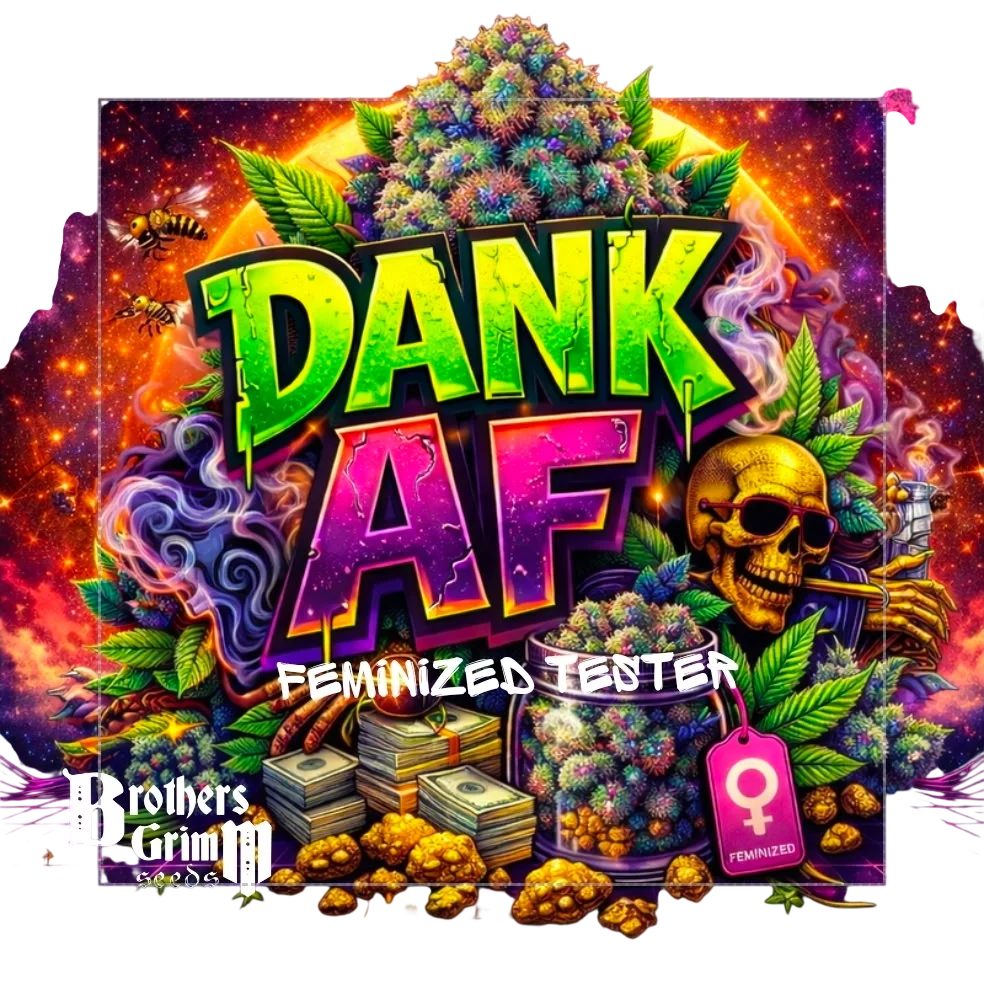 Dank AF – Produktansicht