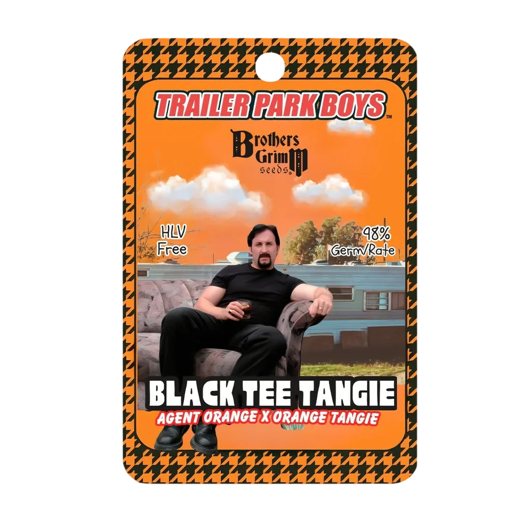 Julians Black Tee Tangie – Produktansicht