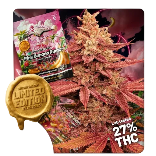 Pink Banana Runtz
