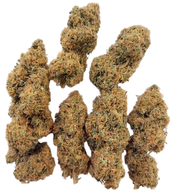 Magic Carrot – Produktansicht