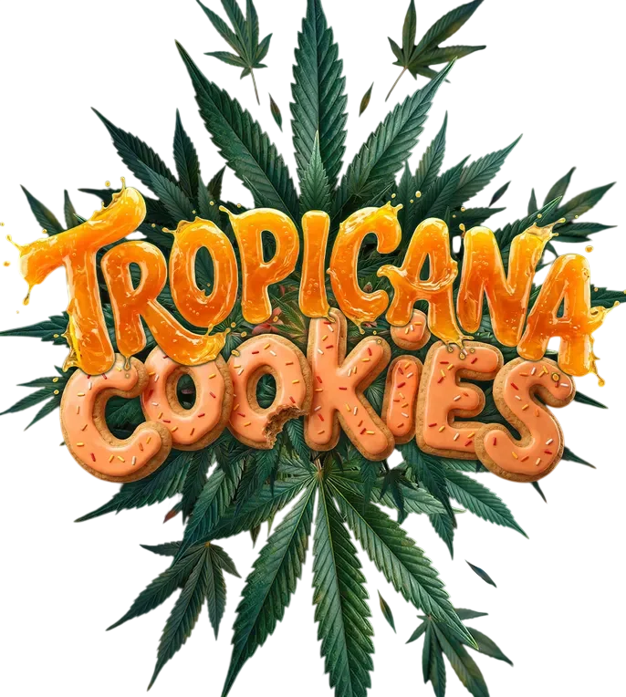 Tropicana Cookies Auto – Produktansicht