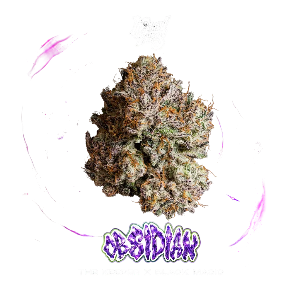 Obsidian – Produktansicht