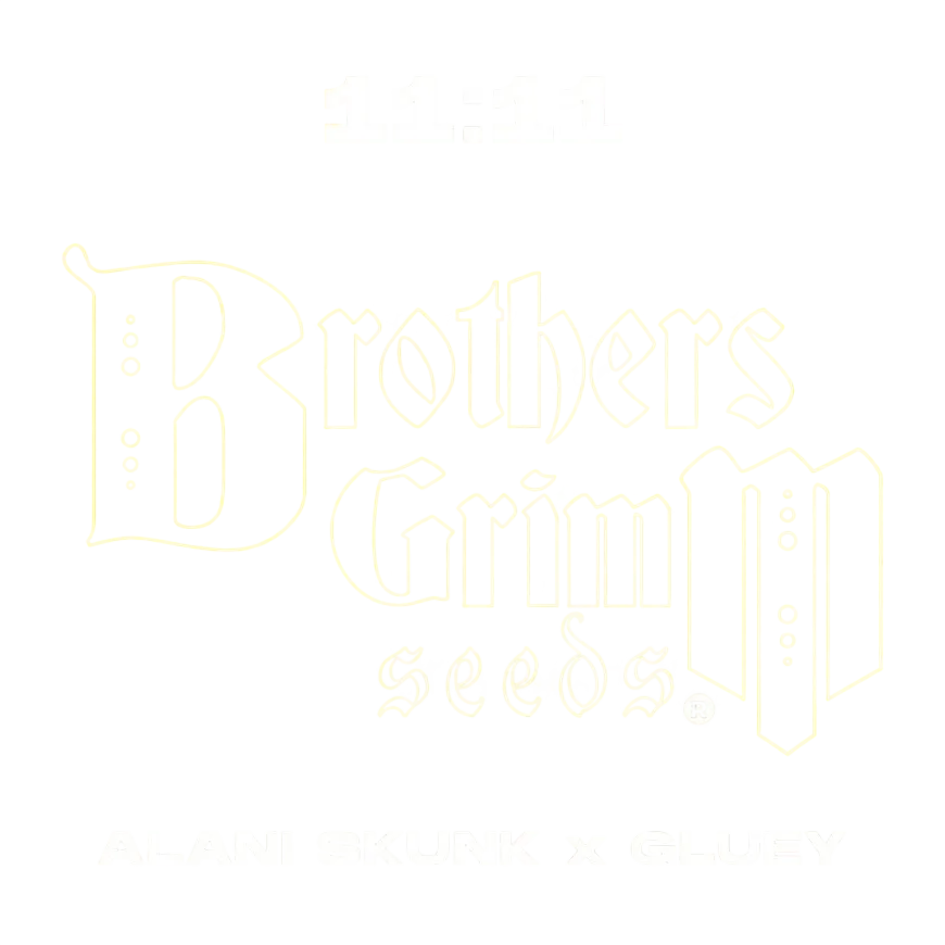11:11 | PHOTOFEM | Brothers Grimm Seeds