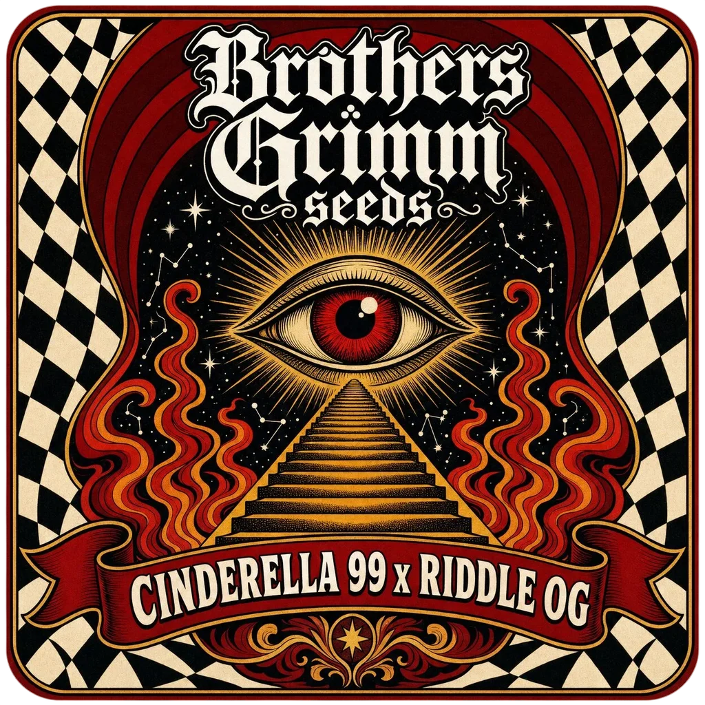 Cinderella 99 x Riddle OG – Produktansicht