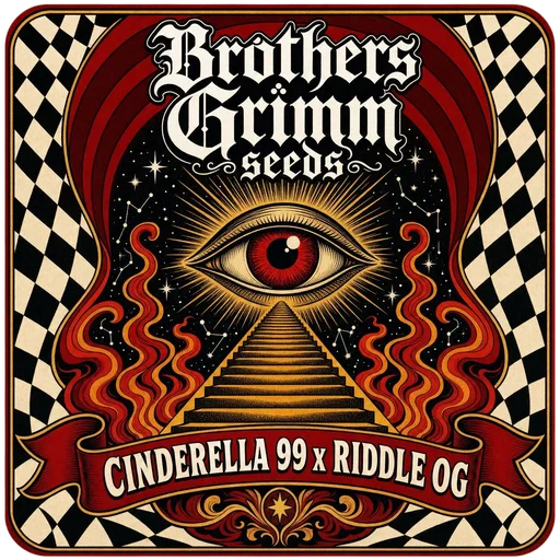Cinderella 99 x Riddle OG