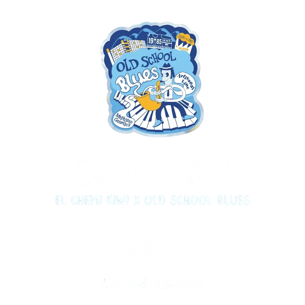 Cobalt Kiwi Auto – Produktansicht