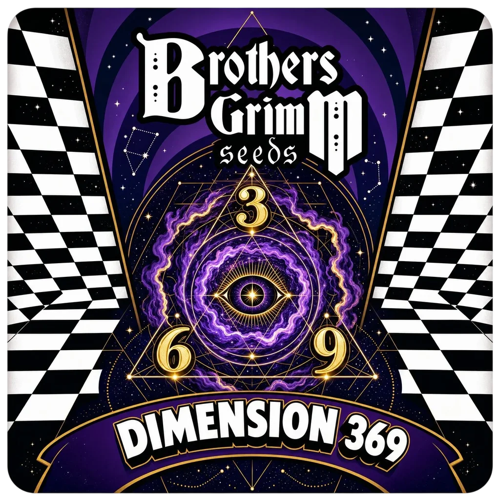 Dimension 369 – Produktansicht