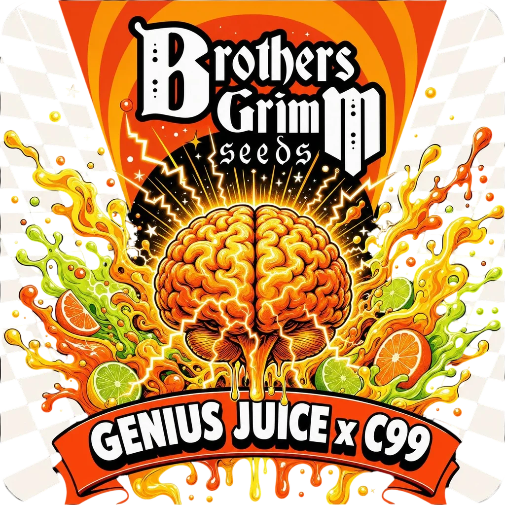 Genius Juice x Cinderella 99 – Produktansicht