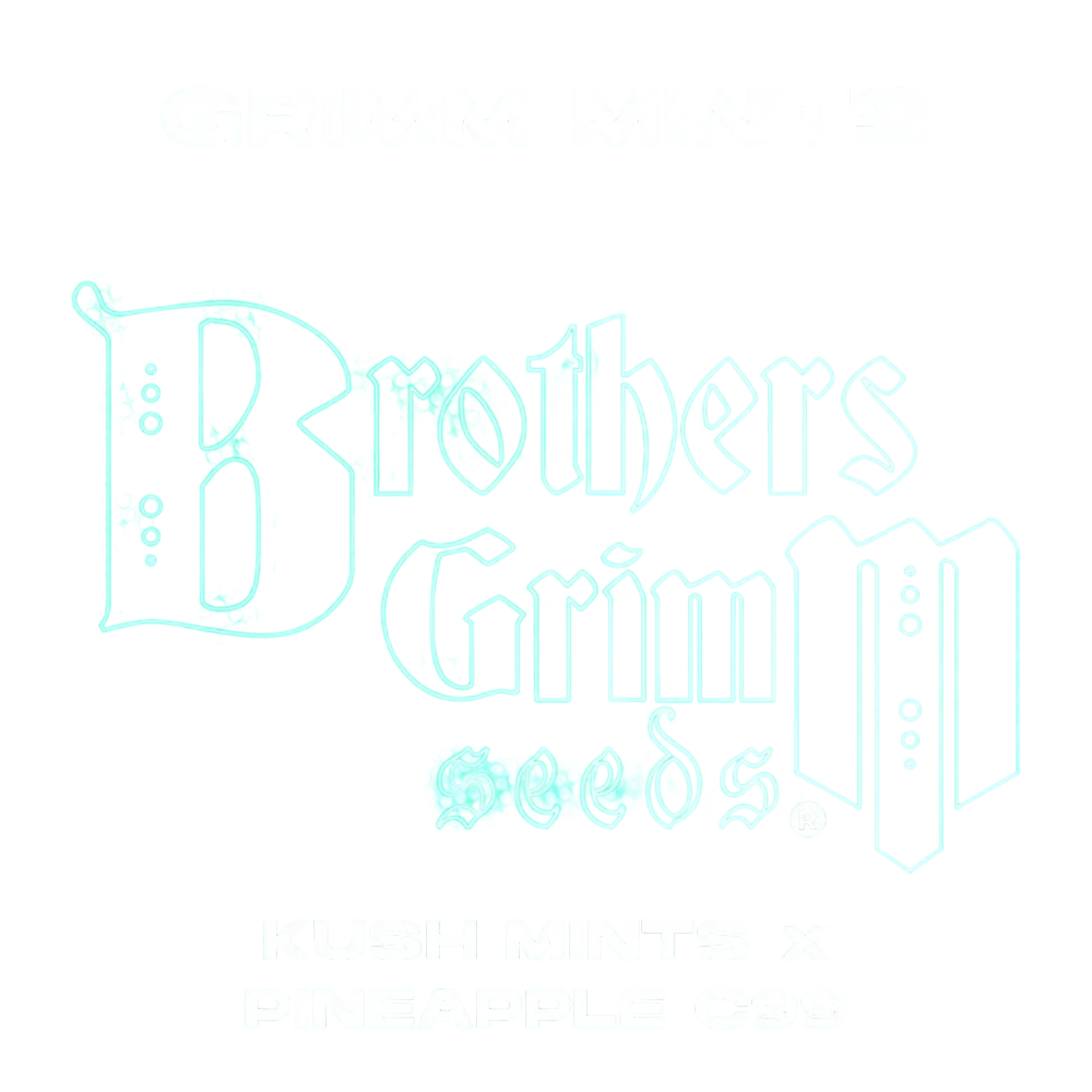 Grimm Mints – Produktansicht