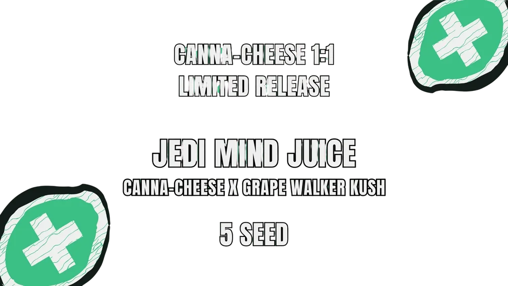 Jedi Mind Juice Auto – Produktansicht