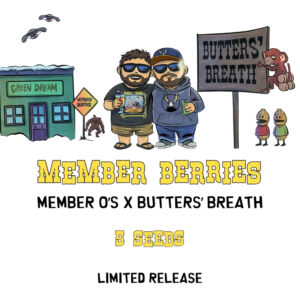 Member Berries Auto | AUTOFEM | Mephisto Genetics