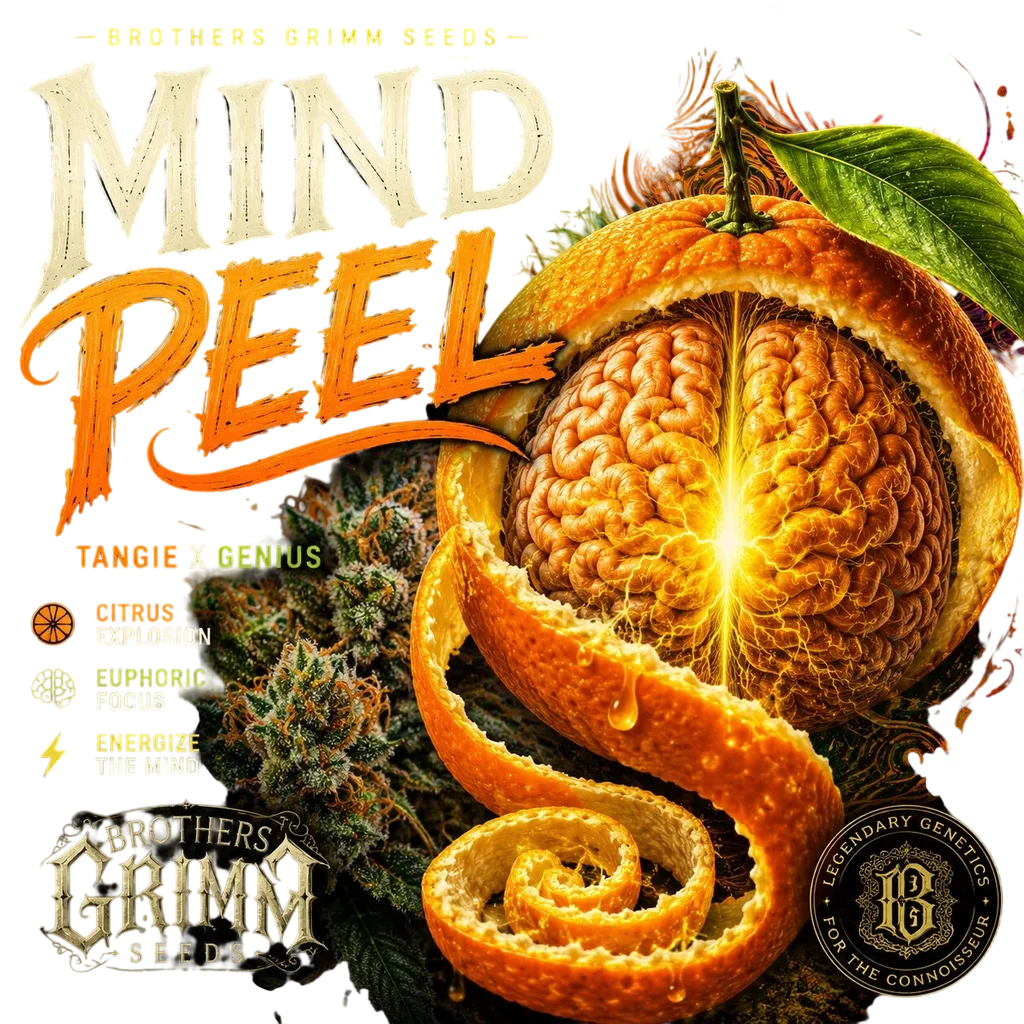 Mind Peel – Produktansicht
