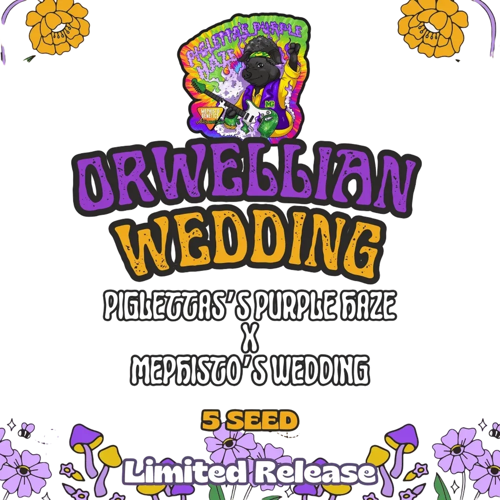Orwellian Wedding Auto | AUTOFEM | Mephisto Genetics