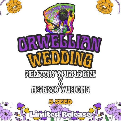 Orwellian Wedding Auto