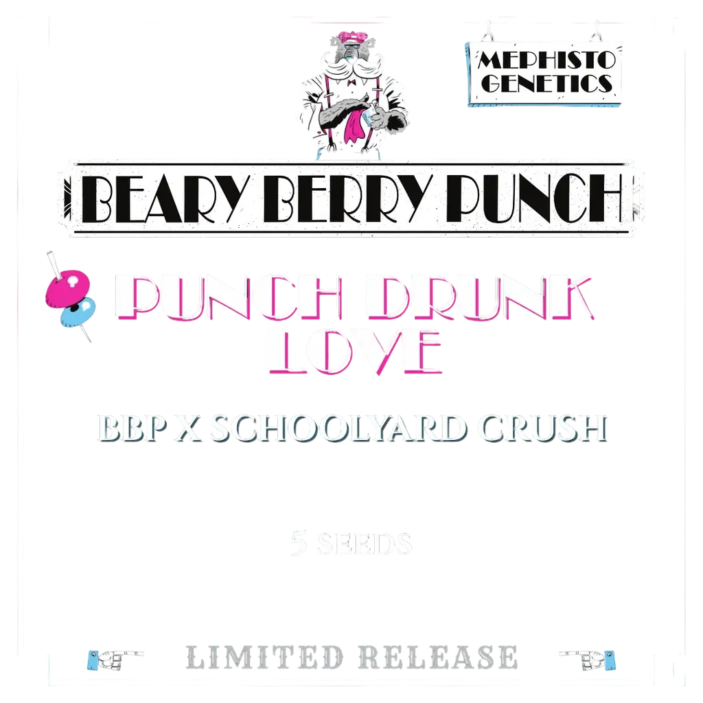 Punch Drunk Love Auto – Produktansicht