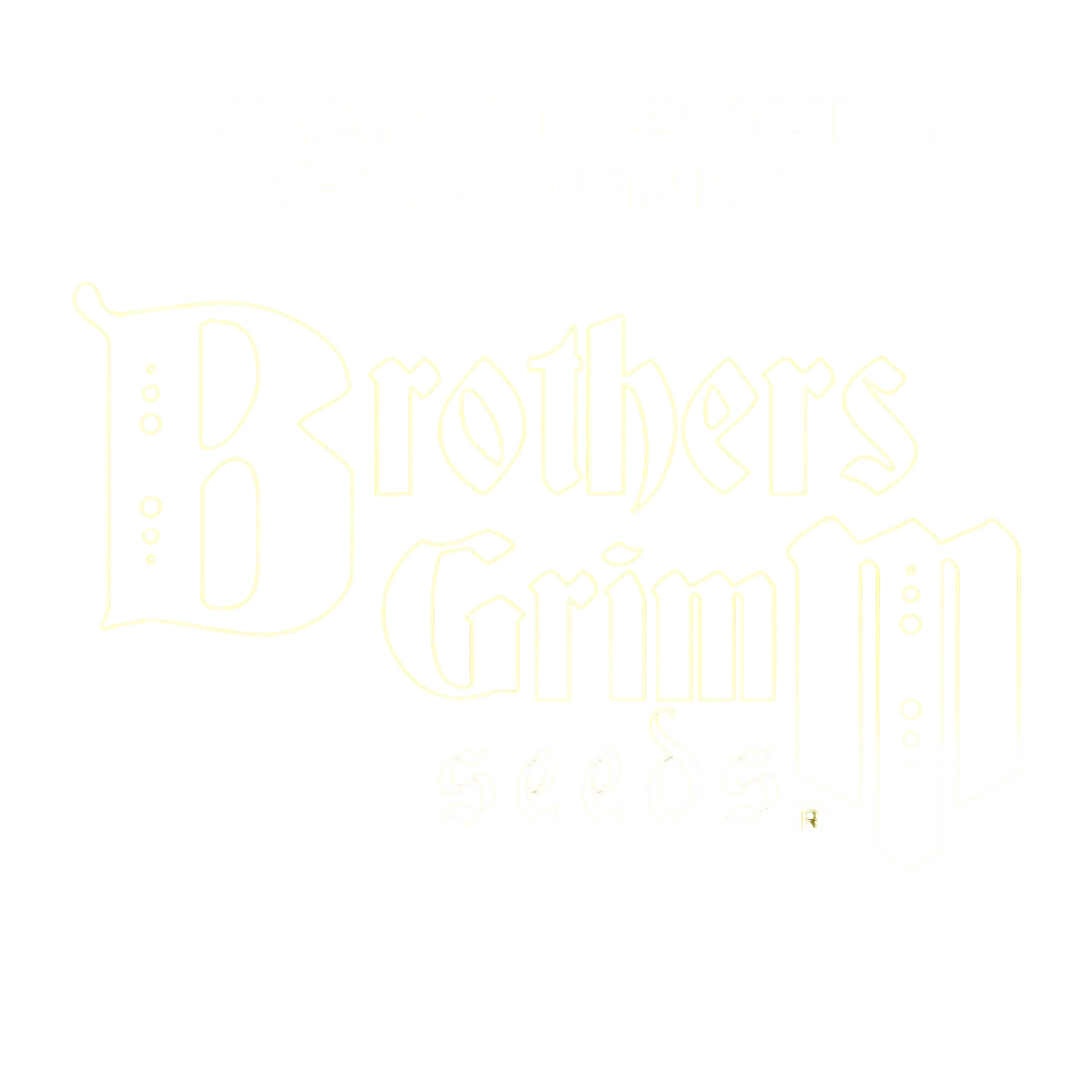 Queen of Soul x Cap Junky – Produktansicht
