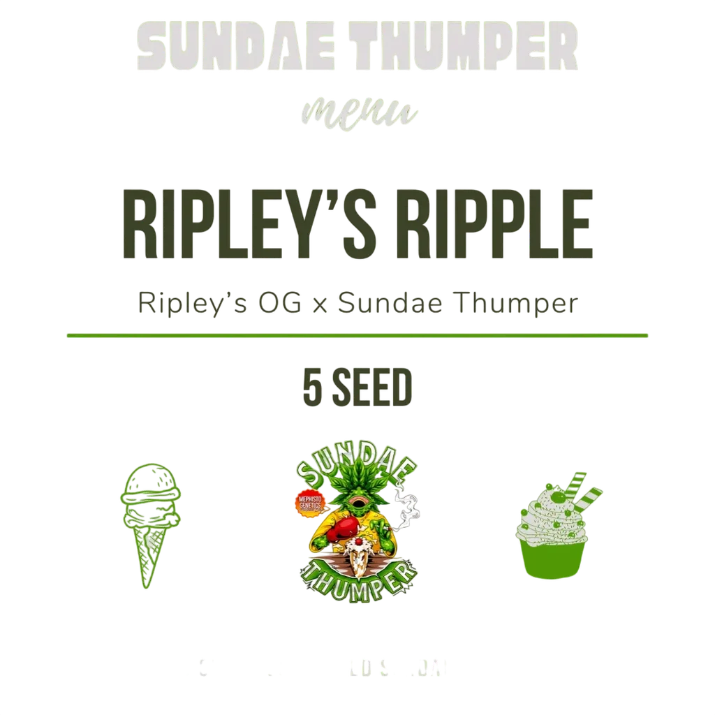 Ripley's Ripple Auto | AUTOFEM | Mephisto Genetics