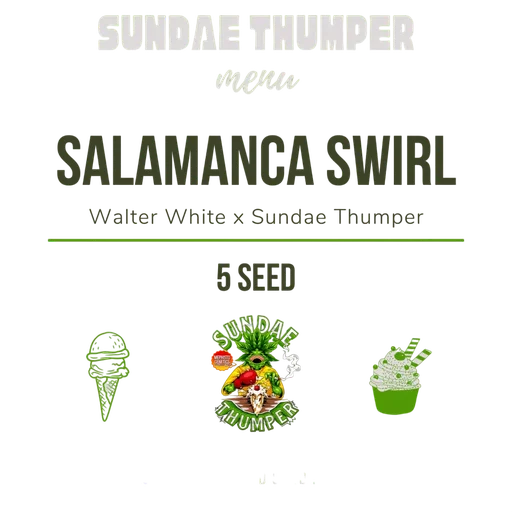 Salamanca Swirl Auto