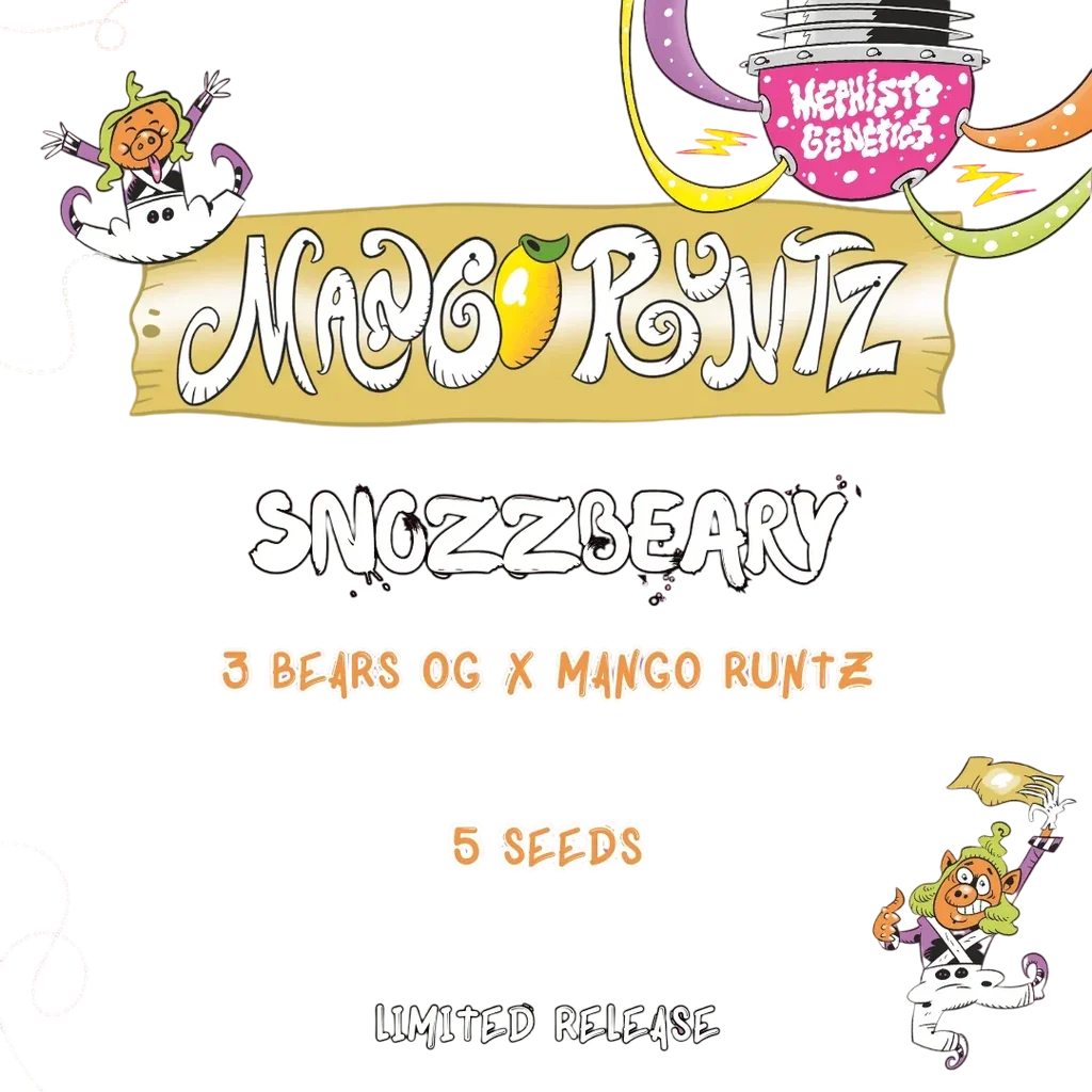 Snozzbeary Auto – Produktansicht