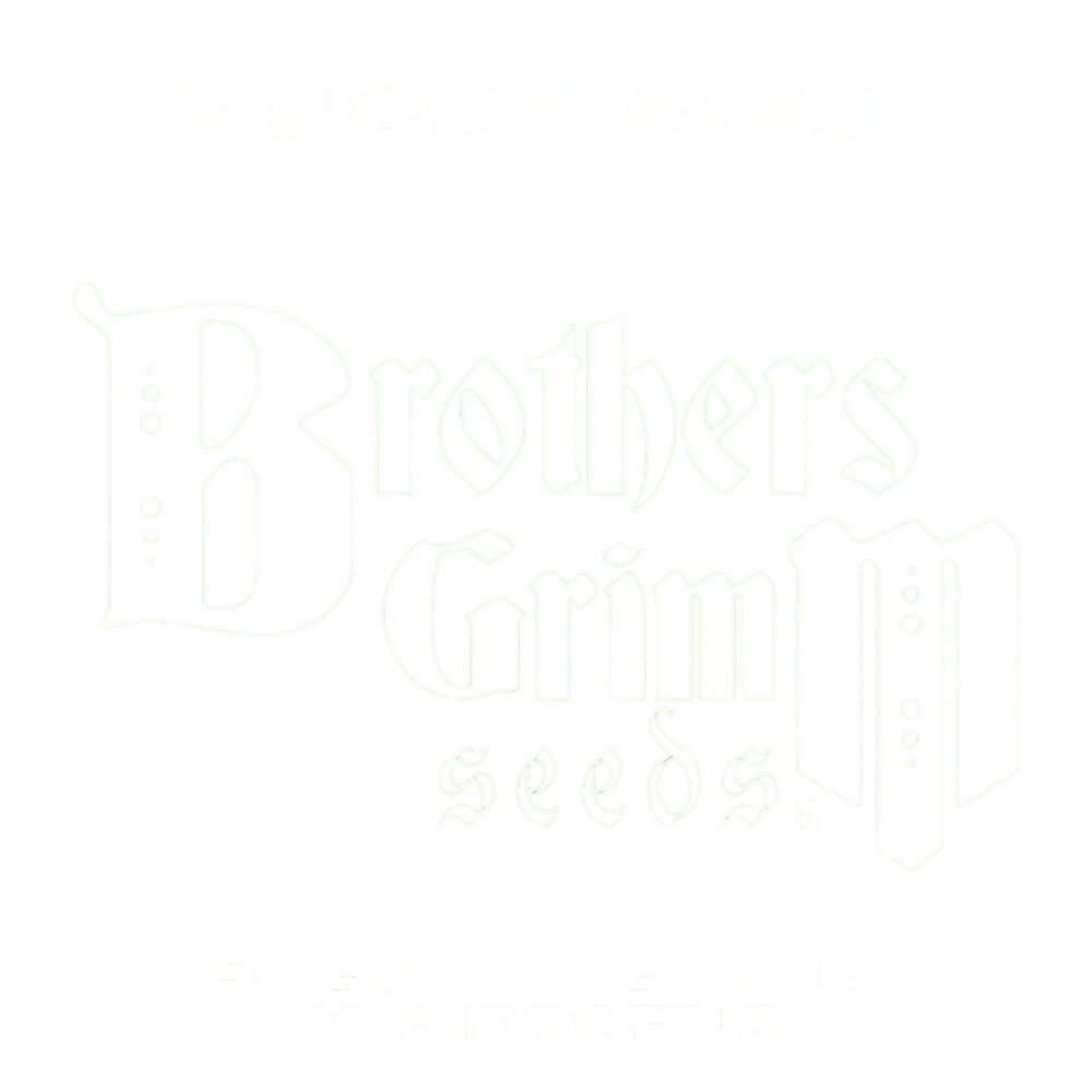 Sticky Soul – Produktansicht