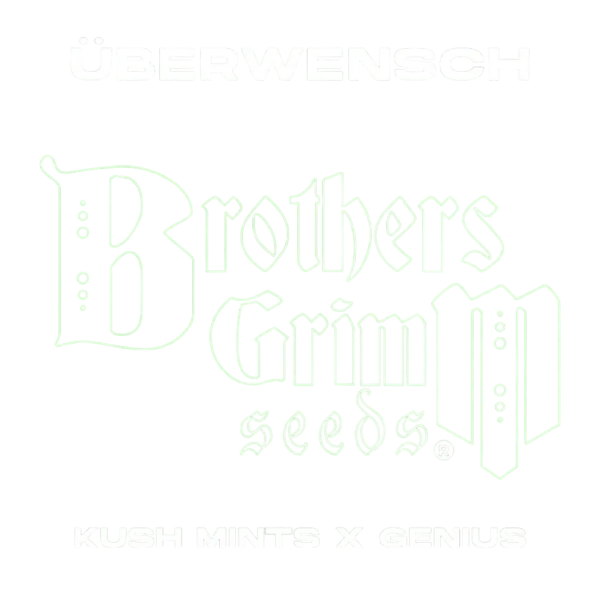Überwensch | PHOTOFEM | Brothers Grimm Seeds