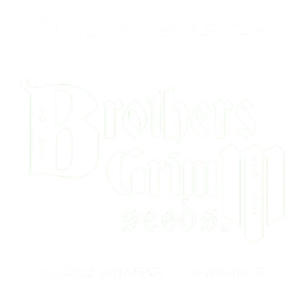 Überwensch – Produktansicht