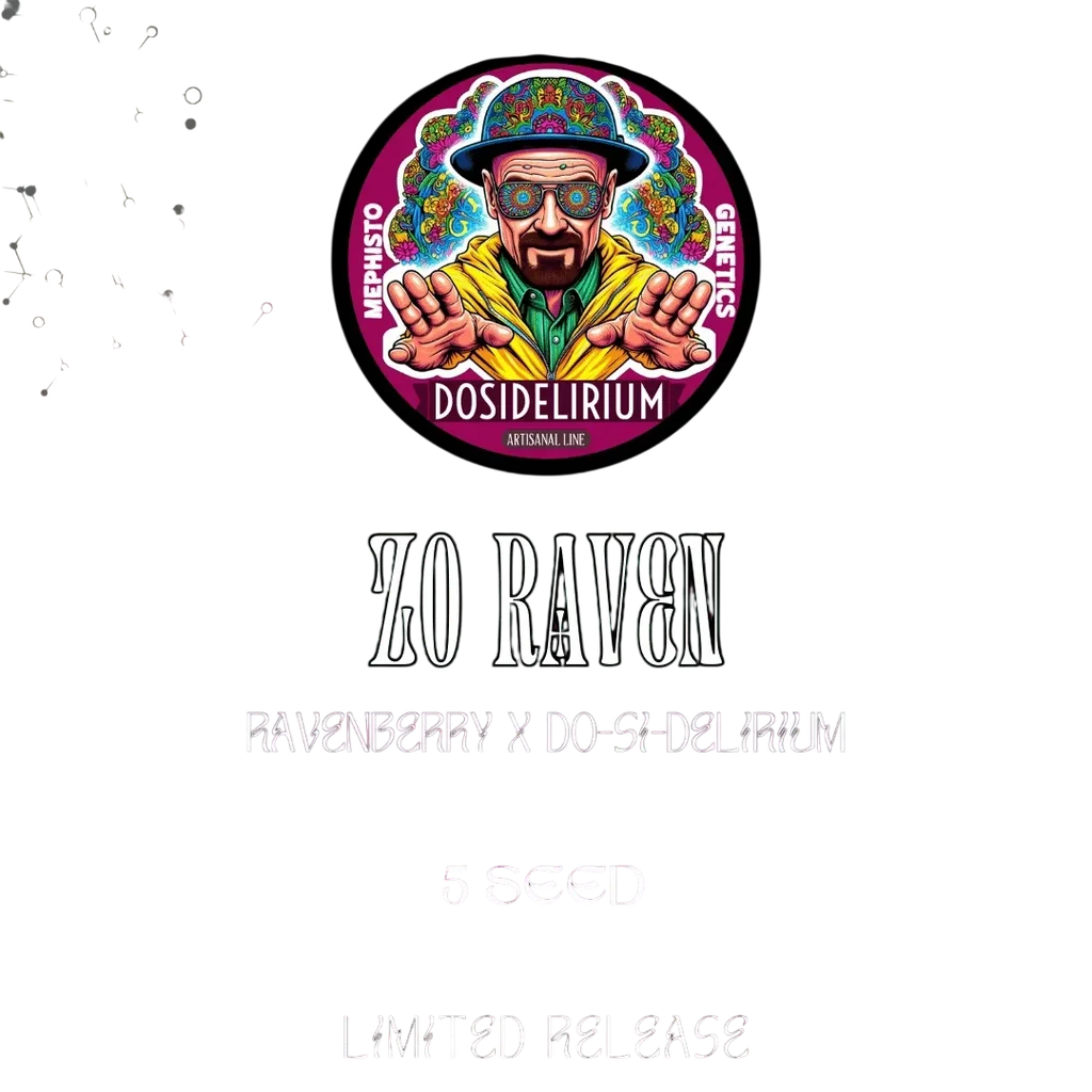 Zo Raven Auto – Produktansicht