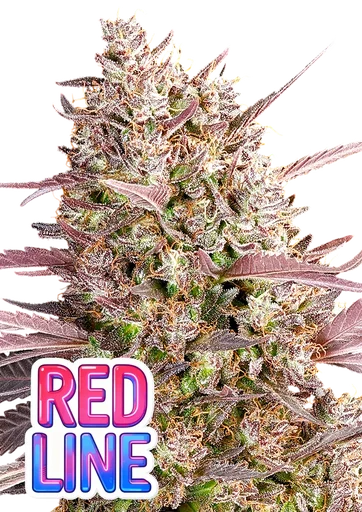 Red Line