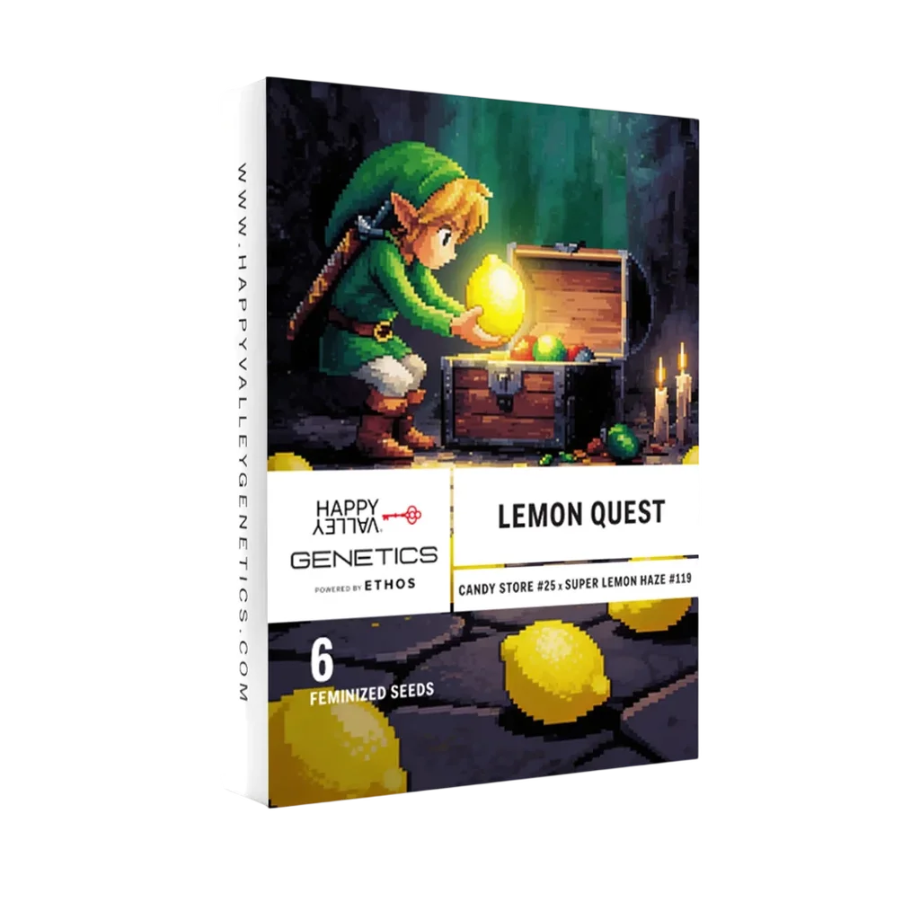 Lemon Quest – Produktansicht