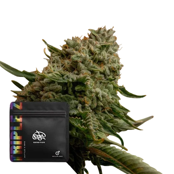 Triple Z – Produktansicht