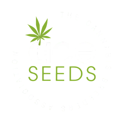 Early Golden Tiger