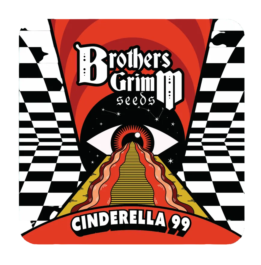 Cinderella 99 | PHOTOFEM | Brothers Grimm Seeds